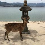 (分類:)位於 。 由 abouttheworld 提交(商品編號 1443535007,圖片 1)。簡介: 。