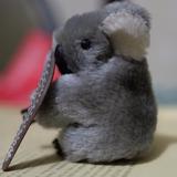 （分類：）位於 。 由 goodseller2014 提交（商品編號 1383246829，圖片 1）。簡介： 。