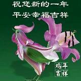 （分類：）位於 。 由 wyeung2620 提交（商品編號 1380736345，圖片 1）。簡介： 。