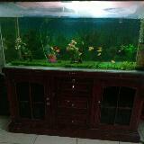 (Kategori: ) berada di . Dikirim oleh xnetta.li (ID iklan 1378554498, Gambar 1). Deskripsi: .