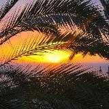 (Category: ) located in . Submitted by prabhat79 (Listing ID 1366787457, Image 1). Description: .