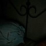 (Category: ) located in . Submitted by 5iervers (Listing ID 1338184558, Image 1). Description: .