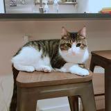 由 allaboutevelyn (刊登 ID 1384390147，圖片 1) 提交，位於 的 (類別：)，說明：。