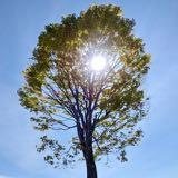 （分類：）位於 。 由 nemkac 提交（商品編號 175686767，圖片 1）。簡介： 。