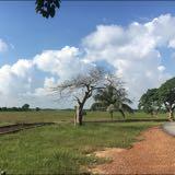 (Category: ) located in . Submitted by chloewy (Listing ID 1445173953, Image 1). Description: .