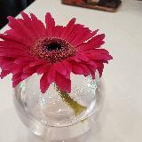 (Category: ) located in . Submitted by evergood64 (Listing ID 1380309800, Image 1). Description: .