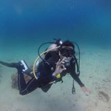 (Category: ) located in . Submitted by markrdel (Listing ID 1263853784, Image 1). Description: .