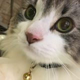 (分類:)位於 。 由 andygackt 提交(商品編號 1460948218,圖片 1)。簡介: 。