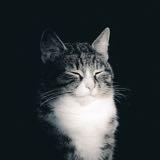（分類：）位於 。 由 cat_slave 提交（商品編號 1346440396，圖片 1）。簡介： 。