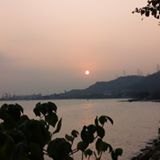 (分類:)位於 。 由 kkzto 提交(商品編號 1443789521,圖片 1)。簡介: 。