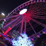 （分類：）位於 。 由 flickasc 提交（商品編號 1333922451，圖片 1）。簡介： 。
