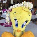 （分類：）位於 。 由 lingtling 提交（商品編號 1383139767，圖片 1）。簡介： 。