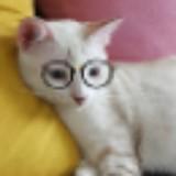 (Category: ) located in . Submitted by catme (Listing ID 1386246748, Image 1). Description: .
