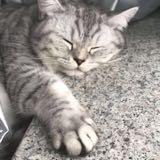 （分類：）位於 。 由 sheepstuff 提交（商品編號 1369494707，圖片 1）。簡介： 。
