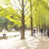 (Category: ) located in . Submitted by 75098364 (Listing ID 1353816909, Image 1). Description: .