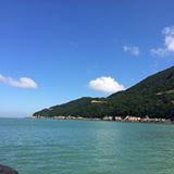 由 lydia3640 (刊登 ID 1380571779，圖片 1) 提交，位於 的 (類別：)，說明：。