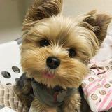 (Category: ) located in . Submitted by shopaholics.inc (Listing ID 1257762694, Image 1). Description: .
