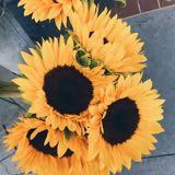 (Category: ) located in . Submitted by fxrrr (Listing ID 1376670074, Image 1). Description: .