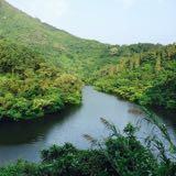 （分類：）位於 。 由 yo.lili 提交（商品編號 1334513075，圖片 1）。簡介： 。