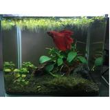 (Category: ) located in . Submitted by m_a_v_l (Listing ID 1249470838, Image 1). Description: .