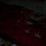 (Category: ) located in . Submitted by baddrus (Listing ID 1456254530, Image 1). Description: .