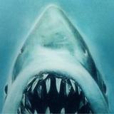 (Category: ) located in . Submitted by jaws2020 (Listing ID 1383534915, Image 1). Description: .