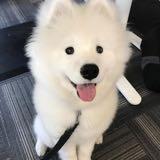 （分類：）位於 。 由 wwwwhk 提交（商品編號 1243555299，圖片 1）。簡介： 。