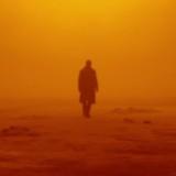 （分類：）位於 。 由 blade_runner 提交（商品編號 1083141594，圖片 1）。簡介： 。