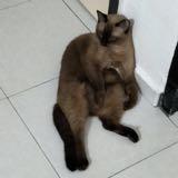 (Category: ) located in . Submitted by noor_eeda (Listing ID 1318105703, Image 1). Description: .