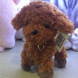 (Category: ) located in . Submitted by yun_sg (Listing ID 1334373139, Image 1). Description: .
