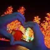 (Category: ) located in . Submitted by akmaryati (Listing ID 1469840061, Image 1). Description: .