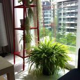 (Category: ) located in . Submitted by dl12445 (Listing ID 1314332979, Image 1). Description: .