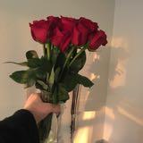 (Category: ) located in . Submitted by wilting.roses (Listing ID 1379021826, Image 1). Description: .