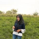 (Kategori: ) berada di . Dikirim oleh erika_store (ID iklan 1381508282, Gambar 1). Deskripsi: .