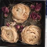 (分類:)位於 。 由 plw000 提交(商品編號 141211653,圖片 1)。簡介: 。