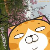 由 cherry988724 (刊登 ID 1379206855，圖片 1) 提交，位於 的 (類別：)，說明：。
