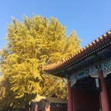 （分類：）位於 。 由 oor10969 提交（商品編號 1369472171，圖片 1）。簡介： 。