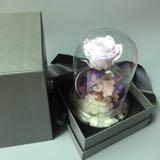 （分類：）位於 。 由 lovepeony 提交（商品編號 1331811282，圖片 1）。簡介： 。