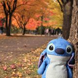 （分類：）位於 。 由 joannashipship 提交（商品編號 1383299685，圖片 1）。簡介： 。