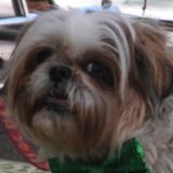 (Category: ) located in . Submitted by cylok (Listing ID 1354007806, Image 1). Description: .