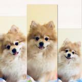 (Category: ) located in . Submitted by rksm_ (Listing ID 1355708422, Image 1). Description: .