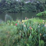 (Category: ) located in . Submitted by AtikaAran (Listing ID 1443917641, Image 1). Description: .