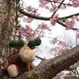 （分類：）位於 。 由 bartlui 提交（商品編號 1361960626，圖片 1）。簡介： 。