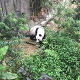 (Category: ) located in . Submitted by ruittnull (Listing ID 1307143467, Image 1). Description: .