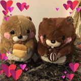(Category: ) located in . Submitted by miieo (Listing ID 1447983302, Image 1). Description: .