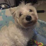 (Category: ) located in . Submitted by pngng (Listing ID 1381417124, Image 1). Description: .