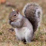 (Category: ) located in . Submitted by squirrel1968 (Listing ID 1442867014, Image 1). Description: .