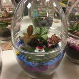(Category: ) located in . Submitted by goldstars (Listing ID 1457740448, Image 1). Description: .