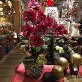(Category: ) located in . Submitted by dotty9 (Listing ID 1378107345, Image 1). Description: .