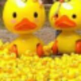 (分類:)位於 。 由 jennyduckduck 提交(商品編號 1470152306,圖片 1)。簡介: 。
